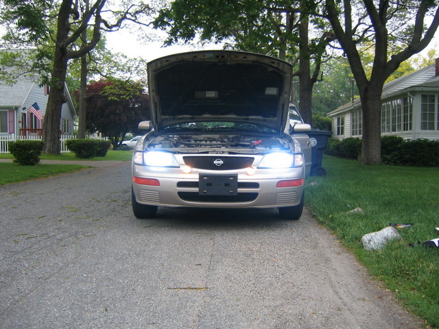 HIDs 004.jpg