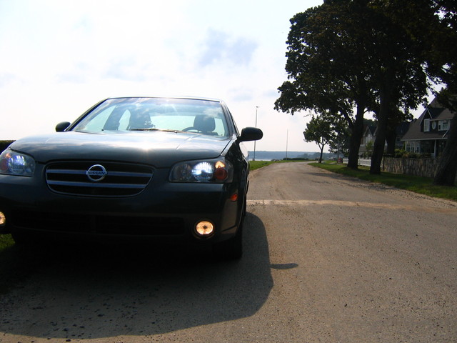 Daytime Maxima 010.jpg