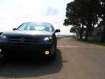 Daytime Maxima 010.jpg
