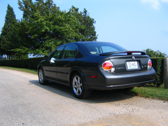 Daytime Maxima 013.jpg