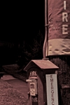 DSC03938.jpg