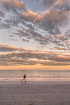 Highlight for Album: Revere Beach