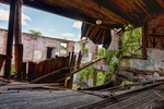 D3X_5811_HDR.jpg