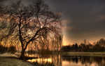 01460_sundaymorningii_1680x1050.jpg