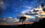 01536_dramaticsky_1680x1050.jpg
