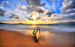 01540_driftwood_1680x1050.jpg