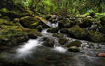 01564_queimadas_1680x1050.jpg