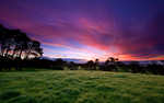01689_beautifulmorning_1680x1050.jpg