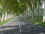 Avenue.jpg
