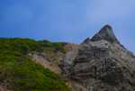 DSC00790.jpg