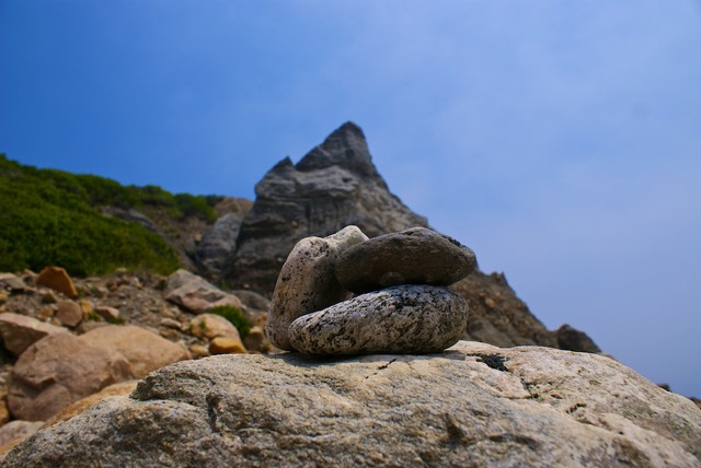 DSC00793.jpg