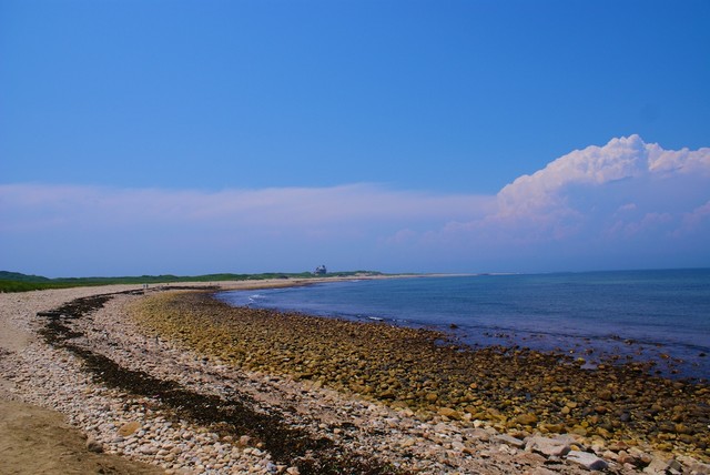 DSC00829.jpg