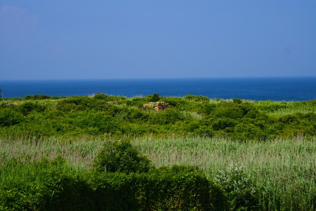 DSC00876.jpg