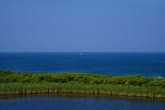 DSC00879.jpg