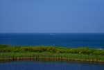 DSC00879.jpg