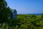 DSC00898.jpg