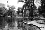 DSC00473.jpg