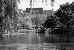 DSC00488.jpg