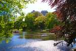 DSC00492.jpg