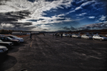 IMG_7753.jpg