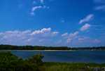 DSC00617.jpg