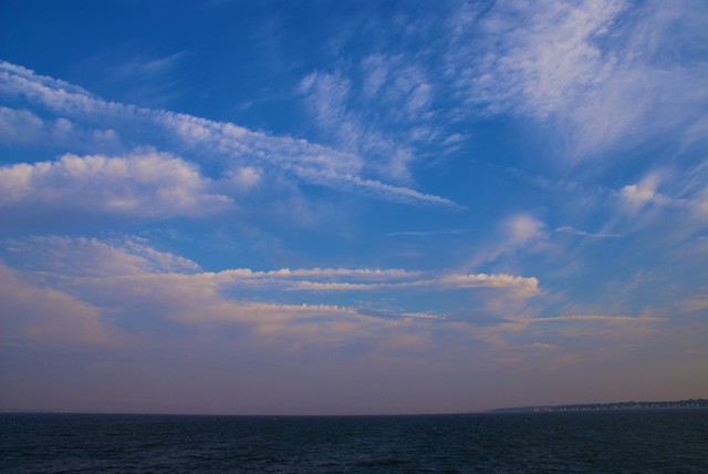 DSC00714.jpg