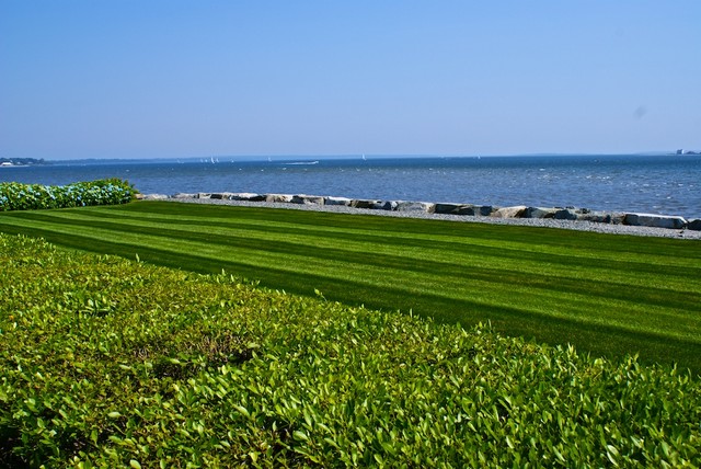 DSC00946.jpg