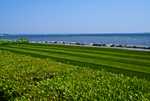 DSC00946.jpg