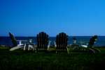 DSC00954.jpg