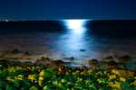 DSC01978.jpg