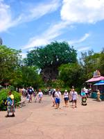 Highlight for album: Disney