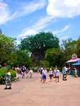 DSC02641.jpg