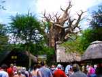 DSC02648.jpg