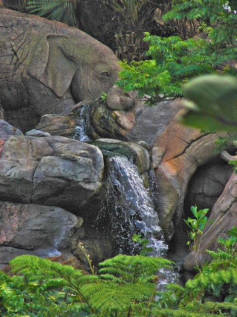 DSC02651.jpg