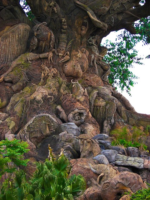 DSC02652.jpg