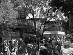 DSC02653.jpg