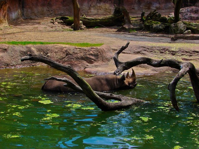 DSC02670.jpg