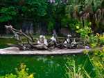DSC02673.jpg