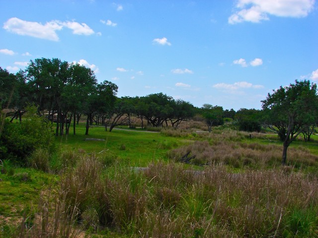 DSC02682.jpg