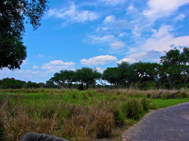 DSC02685.jpg