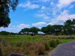 DSC02685.jpg