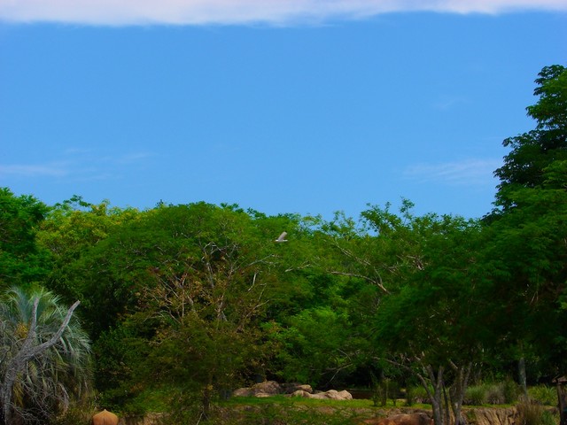 DSC02721.jpg