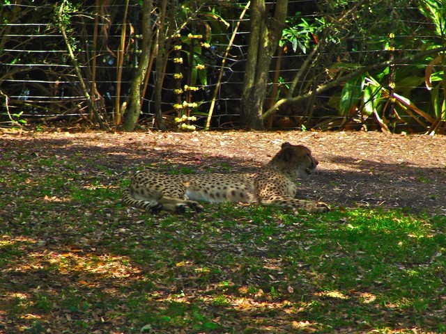 DSC02724.jpg
