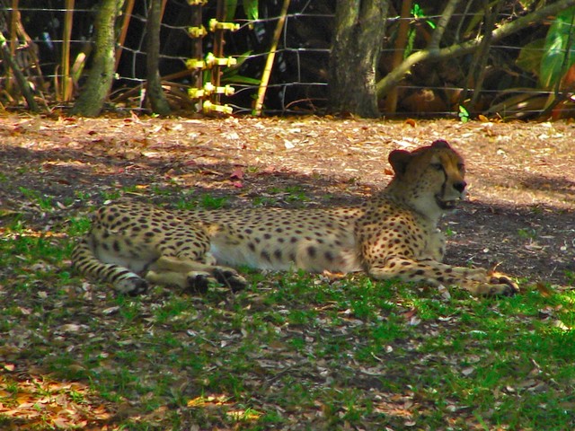 DSC02725.jpg