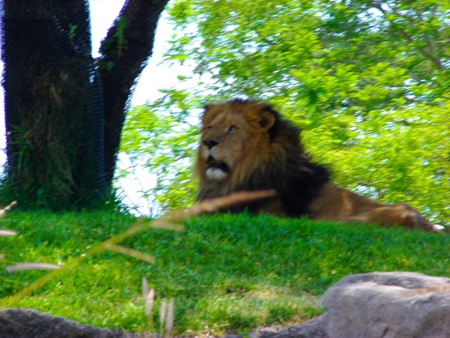 DSC02730.jpg