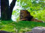 DSC02730.jpg