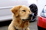 DSC02456.jpg
