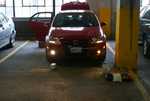DSC01656.jpg