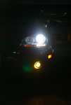 DSC01669.jpg