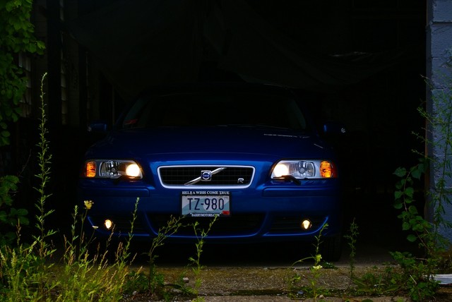 DSC01011.jpg
